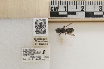 Media type: image;   Entomology 790803 Aspect: Labels